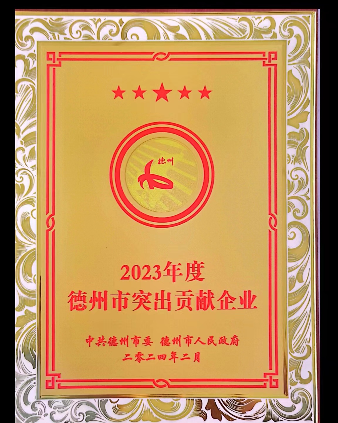 2023年度德州市突出贡献企业